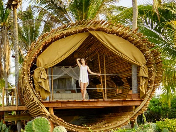 Treehouse